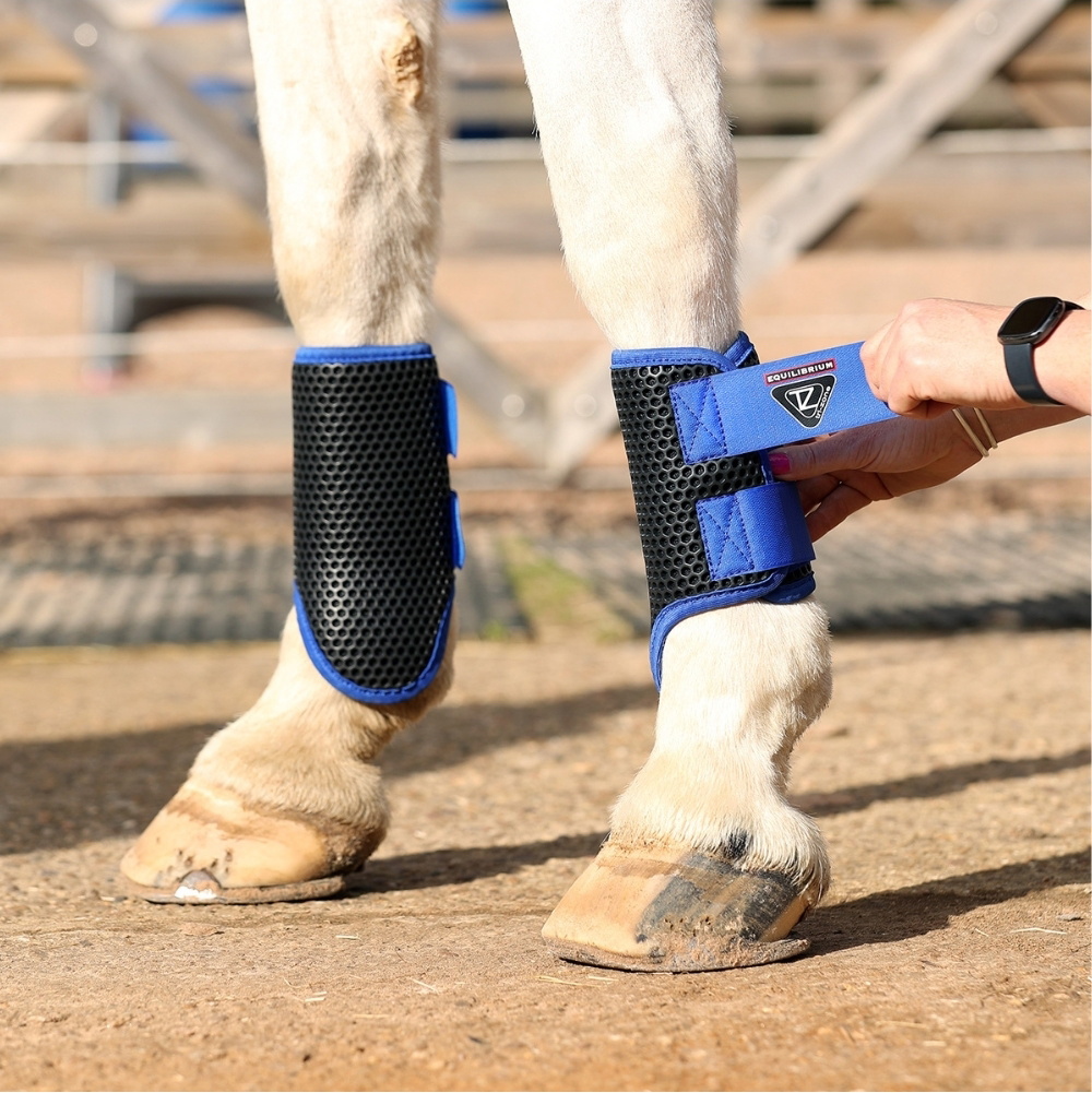 Equilibrium Tri-Zone Brushing Boot 8546 - Royal Blue